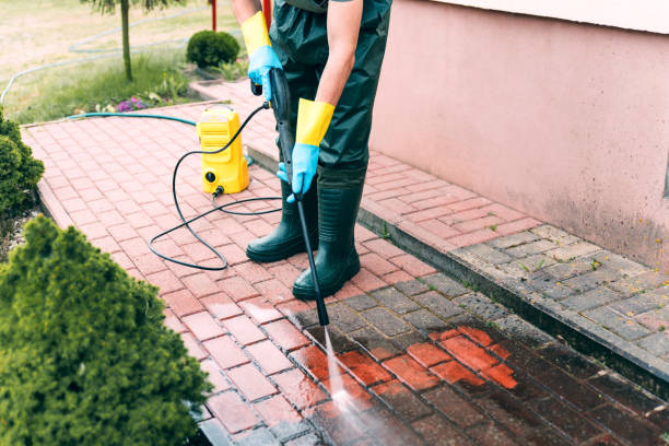 Best Building Exterior Washing  in Eagleton Village, TN